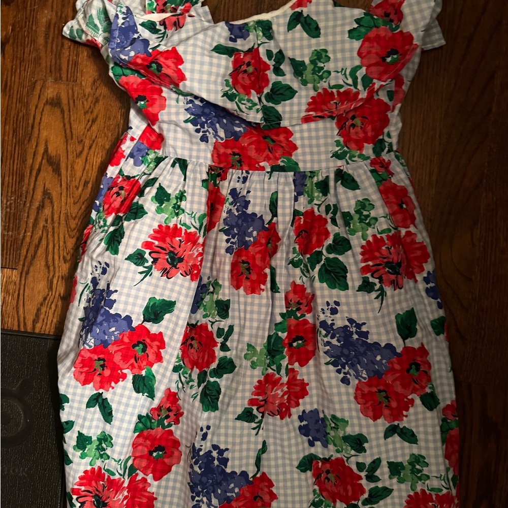 Janie and Jack Red and Blue Floral Dress